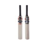 Autograph Bat Mini